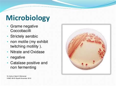 Acinetobacter infection: Epidemiology, microbiology.